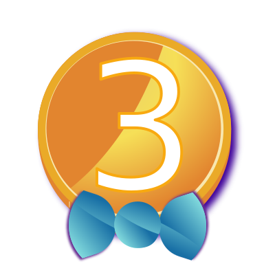 tag icon